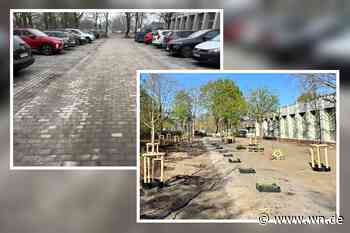 Aus einem Parkplatz wird eine grüne Oase