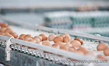 Cal-Maine Foods Reports Cooperation with DOJ Investigation into Egg Prices