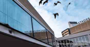 Vleermuizen in schouwburg nu pas ontdekt, hoe kán dat? Experts verbaasd: ‘Het zijn trouwe dieren’