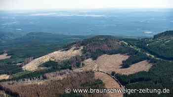 Unternehmen sucht nach Rohstoffen in Südniedersachsen