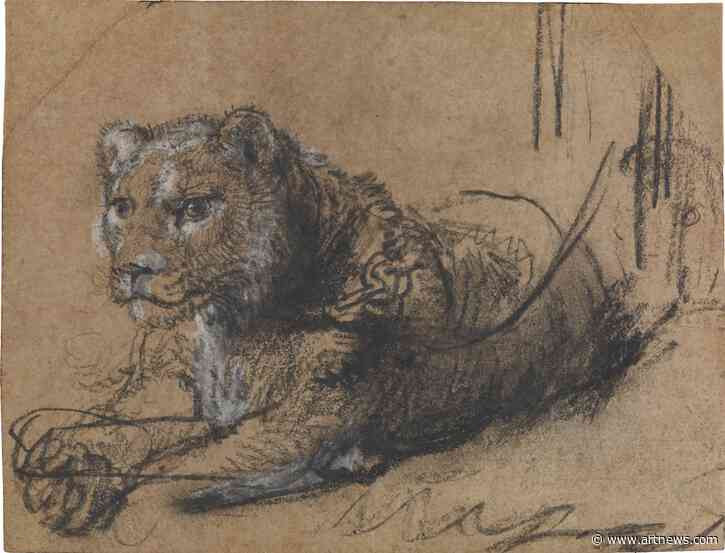 Billionaire Rembrandt Collector Plans to Sell Lion Drawing Next Year in Hopes of Breaking Auction Record