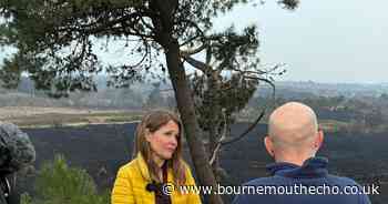 MP starts petition calling for ban on disposable BBQs after heathland fires