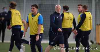 Steve Tandy emerges as new frontrunner for Wales head coach job