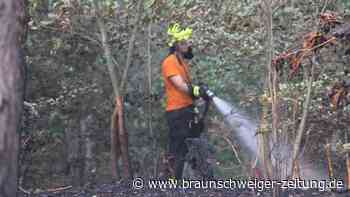 Trockenheit trifft vor allem den Helmstedter Nordkreis hart