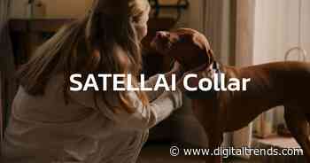 Track, Train, Thrive: The Smart Collar That’s Redefining Dog Parenting