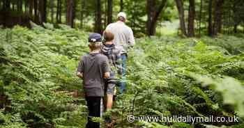 UK children struggle to identify common insects, finds new study