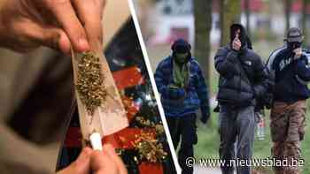 Waarom Limburgs parket naar nultolerantie voor drugs wil: “Beleid is vandaag te onduidelijk”