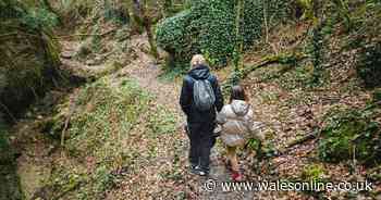 Study shows many UK children can't identify basic insects - new initiative hopes to boost knowledge