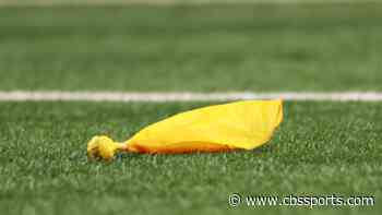 NFL fires three officials, relegates them to college ranks in unprecedented move, per report