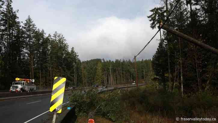 High winds expected later today in Chilliwack, Fraser Valley and Vancouver Island