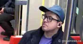 Calgary police seek ‘person of interest’ after 2 Tesla vehicles set on fire