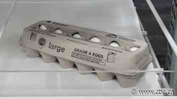 Oeuf! U.S. egg prices hit record high despite Trump's claim they're 'much cheaper'