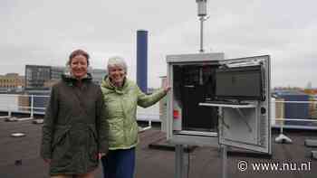 Deze nieuwe palen moeten miljoenen Nederlanders het pollenseizoen doorhelpen