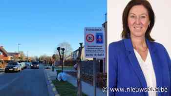 Gemeenteraad keurt nieuwe verkeerssituatie in dorpscentrum goed: focus op veiligheid aan schoolomgeving