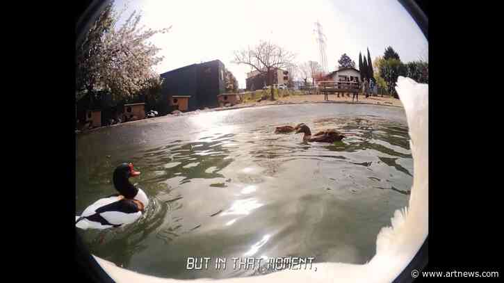 Influential Berlin Gallery Peres Projects Placed Under Insolvency