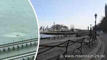 Helikopter stürzt in New York in Hudson River – Medienberichte über Todesopfer