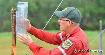 Alberta spending $900K to upgrade wildfire monitoring as season begins