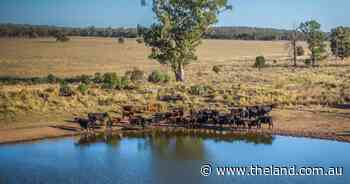 Inverleith offers major central west opportunity with development upside