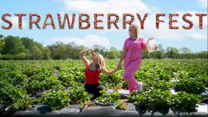 One Tank Trips: Strawberry Season at Mrs. Heathers Farm