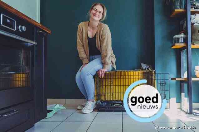 Nynke (29) vangt al twee jaar pleegkatjes op voor Lommels dierenasiel: “Dat ze daarna een goeie thuis vinden, geeft me veel voldoening”