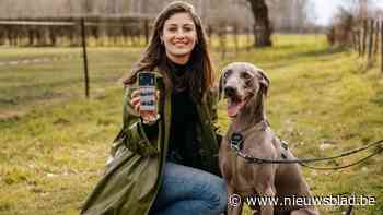 Op café, wandelpaden, weides en in zwemgelegenheden: hier in Limburg is uw hond meer dan welkom