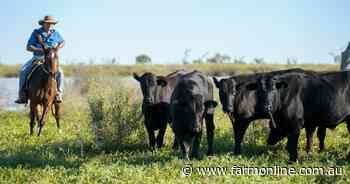 AACo's carbon-by-satellite work breaks new ground in rangeland regen beef