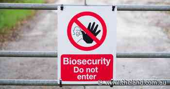 Biosecurity funding integral to keeping threats out of Australia | NSW Farmers