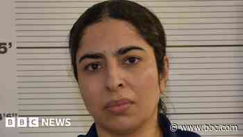 Woman who planned to join terrorist group jailed