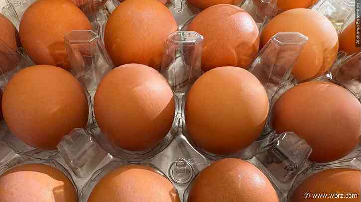 US egg prices increase to record high, dashing hopes of cheap eggs by Easter