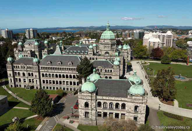 Former B.C. MLA launches CentreBC party, wants to ‘push back’ against polarization