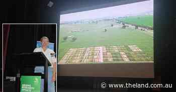 Barley, wheat yields raise questions about cereal flowering times