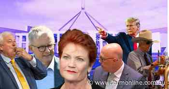 Chaos: record election spend, Hanson's succession planning, and Bob's beer