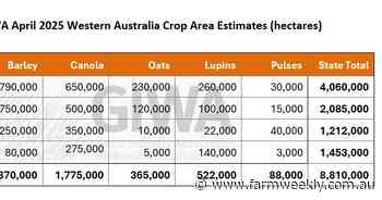 Rainfall the difference between north and south impacts first '25 estimates