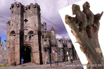 Waarom een eeuwenoude wolvenpoot een pronkstuk is van dit museum: “Zeker kinderen zijn er dol op”