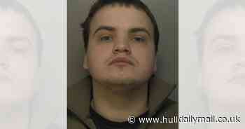 Man jailed after police raid uncovers cannabis factory