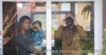 House sparrow crowned most popular garden bird in Dorset