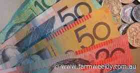 Closing the week higher nationally the wool value dipped in US dollar value