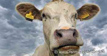 Dealing with extreme animal activists: 'Tell your story' no longer cuts it