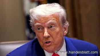 US-Zölle : Trump lobt Zoll-Reaktion der EU