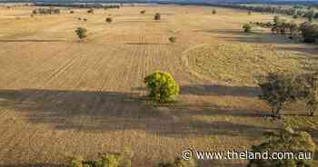 Versatile central west property Mentone remains on the market after auction