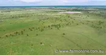 Amby Hills a well-developed, large-scale breeding and fattening property