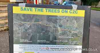 Busway still threatens to cut down protected orchard trees