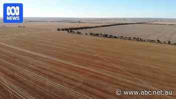 New mine gets 20-year licence despite fears land will be 'scarred forever'