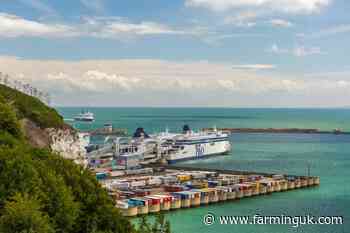 Calls grow for tighter borders amid foot-and-mouth fears