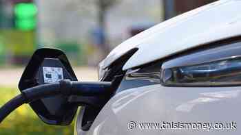 Will new checks make buying a second-hand electric car a safe bet?