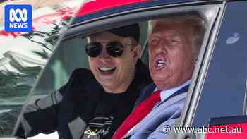 Donald Trump's inner circle accused of market manipulation