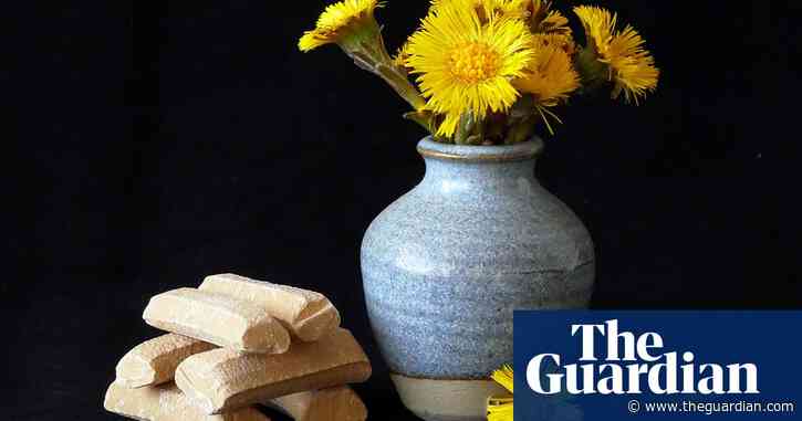 Country diary: The colourful coltsfoot was once in great demand | Phil Gates