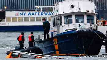 Siemens executive, his wife and children among victims after helicopter crashes in New York: reports