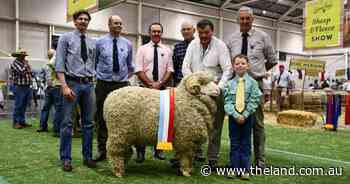 'Outstanding animal': prestigious Tom Culley award goes to Merryville stud