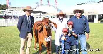 Brahman breeder's first Sydney Royal Show in 40 years leads to top exhibit win